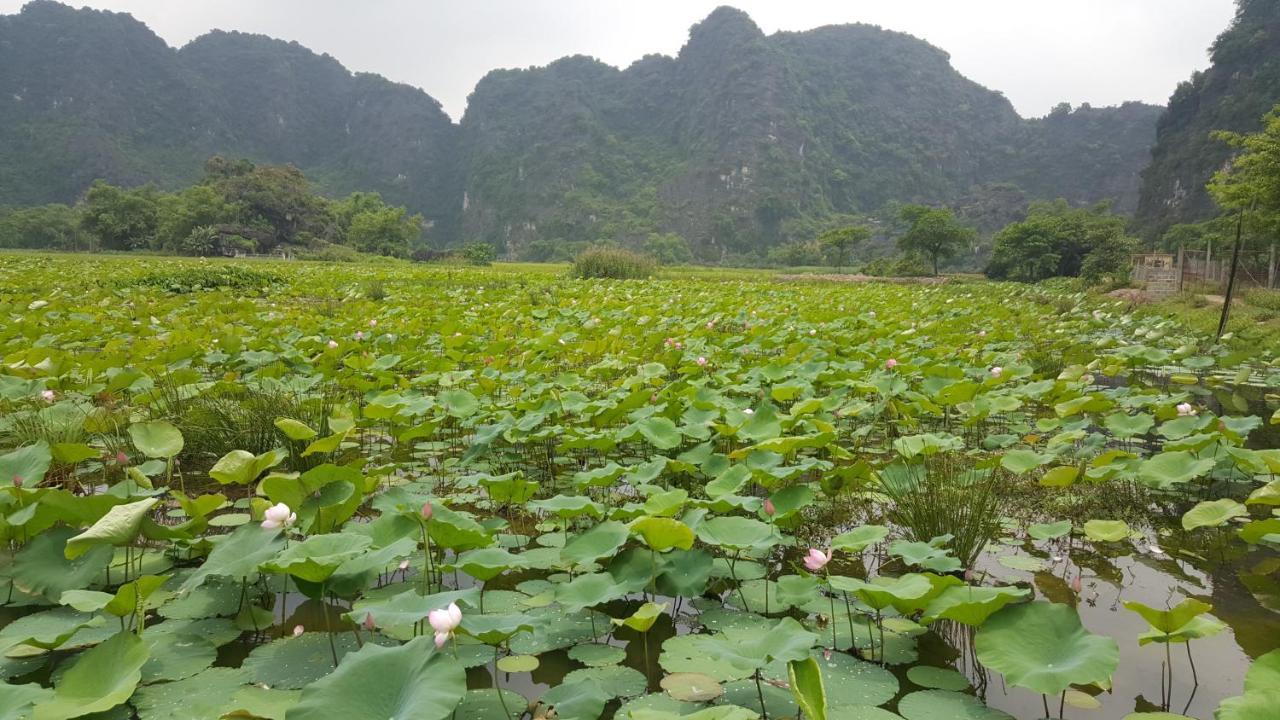 Hoalu Ecolodge Homestay Ninh Binh Dış mekan fotoğraf