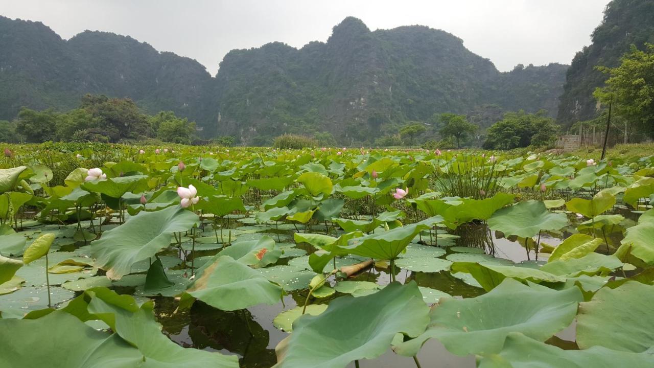 Hoalu Ecolodge Homestay Ninh Binh Dış mekan fotoğraf