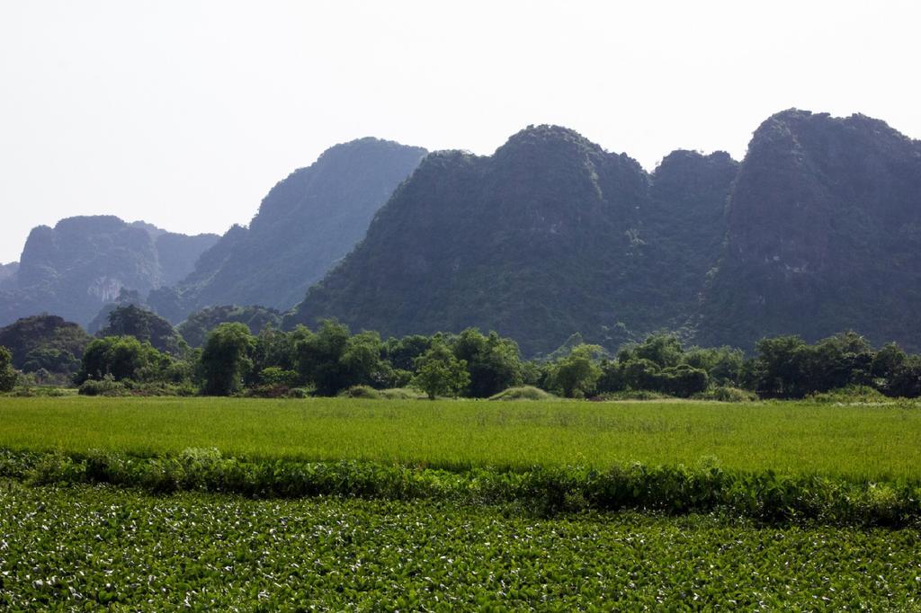 Hoalu Ecolodge Homestay Ninh Binh Dış mekan fotoğraf