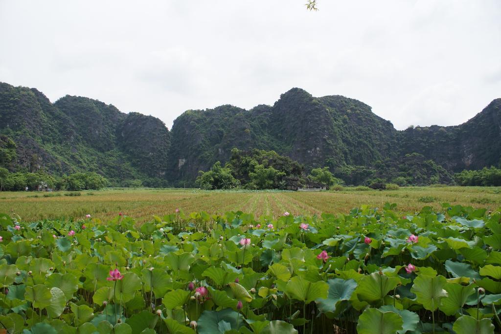 Hoalu Ecolodge Homestay Ninh Binh Dış mekan fotoğraf